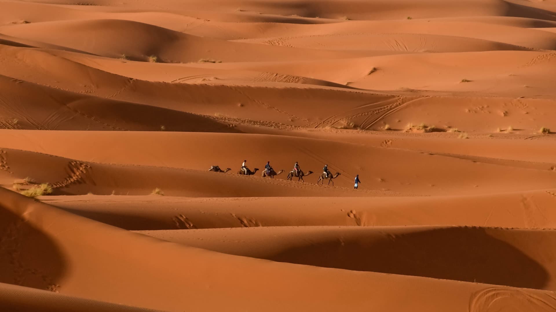 Tour Me Morocco