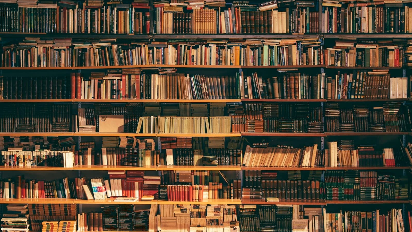 A library of books illustrating document collections and knowledge retrieval.